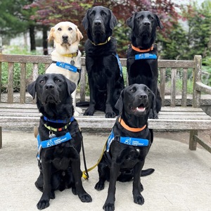 Fundraising Page: Beth Paolero